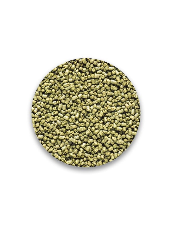 Hikari Saki-Hikari Marine Herbivore Sinking Fish Pellets M - 90GM - Image 2